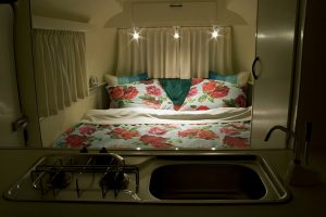 BIOD-Bambi-Restoration-AILAFM3